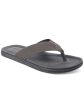 CLUBROOM Mens Gray Padded Riley Round Toe Slip On Flip Flop Sandal M For Discount